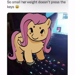 Size: 2098x2098 | Tagged: safe, artist:cardigansandcats, fluttershy, pegasus, pony, g4, chest fluff, cute, daaaaaaaaaaaw, high res, irl, keyboard, monitor, photo, ponies in real life, ponified animal photo, shyabetes, smiling, smolshy, solo, text
