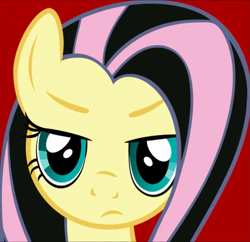 Size: 1117x1080 | Tagged: safe, artist:mihaaaa, fluttershy, pegasus, pony, g4, angry, artifact, bust, emo, emoshy, female, looking at you, portrait, red background, simple background, solo, song cover