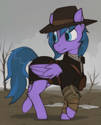 Size: 1253x1554 | Tagged: safe, artist:marsminer, oc, oc only, oc:feather freight, pegasus, pony, fallout equestria, courier, hat, male, solo, stallion, standing on two hooves