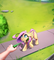 Size: 2811x3151 | Tagged: safe, artist:sugarlesspaints, fluttershy, human, pegasus, pony, g4, arm, behaving like a dog, collar, colored wings, colored wingtips, cute, diabetes, ears back, explicit source, female, femsub, floppy ears, flutterdog, flutterpet, fluttersub, hand, high res, leash, looking at you, mare, multiple variants, offscreen character, pet play, pet tag, pony pet, pov, raised hoof, shyabetes, submissive, wings