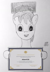 Size: 2024x2876 | Tagged: safe, artist:adamv20, oc, oc only, pony, atg 2023, high res, newbie artist training grounds, solo, traditional art