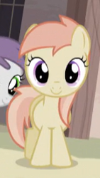 Size: 155x275 | Tagged: safe, screencap, apricot (g4), tornado bolt, earth pony, pegasus, pony, g4, the cutie map, cropped, duo, duo female, female, filly, foal, looking at you, offscreen character, outdoors, smiling, smiling at you, solo focus, tail