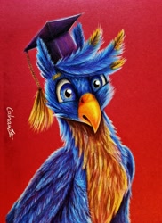 Size: 2825x3874 | Tagged: safe, artist:cahandariella, gallus, griffon, g4, bust, colored pencil drawing, graduation cap, hat, high res, newbie artist training grounds, realistic, red background, simple background, solo, traditional art