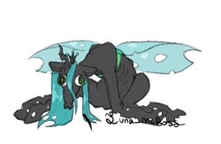 Size: 877x572 | Tagged: safe, artist:luna_mcboss, queen chrysalis, changeling, g4, big eyes, blank eyes, derp, emaciated, gray coat, holes, horn, insect wings, ribs, simple background, sitting, skinny, thin, thousand yard stare, white background, wings