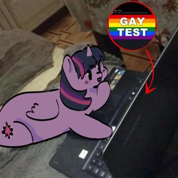 Size: 2098x2098 | Tagged: safe, artist:cardigansandcats, twilight sparkle, alicorn, pony, g4, computer, gay pride flag, high res, irl, lying down, needs more jpeg, photo, ponies in real life, pride, pride flag, smiling, solo, twilight sparkle (alicorn)