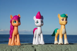 Size: 1280x854 | Tagged: safe, artist:dingopatagonico, hitch trailblazer, sunny starscout, zipp storm, earth pony, pegasus, pony, g5, irl, photo, toy, trio