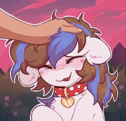 Size: 484x467 | Tagged: safe, artist:flixanoa, oc, oc:breezy, earth pony, human, pony, animated, blue, blushing, brown, chest fluff, collar, ear fluff, floppy ears, gif, grass, hand, head pat, heart, human on pony petting, pat, petting, sunset, white