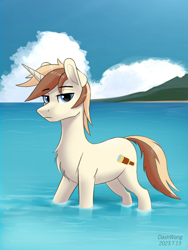 Size: 2250x3000 | Tagged: safe, artist:dash wang, oc, oc:cream brun, pony, unicorn, chest fluff, high res, male, ocean, stallion, water