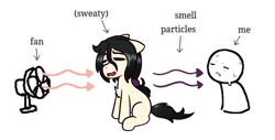 Size: 992x503 | Tagged: safe, artist:scraggleman, oc, oc only, oc:floor bored, earth pony, pony, eyes closed, fan, fetish, girlsmell particles, meme, simple background, smell, smelly, white background