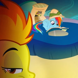 Size: 1080x1080 | Tagged: artist needed, source needed, safe, daring do, rainbow dash, spitfire, pegasus, pony, g4, body pillow, book, daring daki, duo, female, hat, pith helmet, reading, selfie, spitfire is not amused, unamused