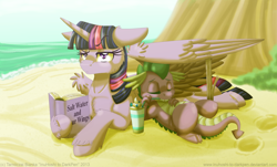 Size: 2172x1311 | Tagged: safe, artist:inuhoshi-to-darkpen, spike, twilight sparkle, alicorn, dragon, pony, g4, 2013, artifact, beach, book, drink, female, getting real tired of your shit, lying down, male, mare, prone, stick, twilight sparkle (alicorn), unamused, unshorn fetlocks, wing umbrella, wings