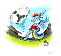 Size: 1212x1132 | Tagged: safe, artist:damianuss, rainbow dash, pegasus, pony, g4, action pose, bipedal, clothes, euro 2012, female, football, mare, poland, soccer field, solo, sports