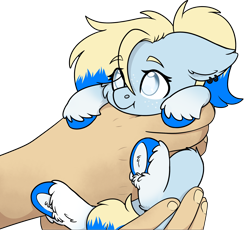 Size: 2294x2109 | Tagged: safe, artist:rokosmith26, oc, oc only, oc:azure opus, human, pegasus, pony, blind, cheek fluff, commission, cute, ear fluff, ear piercing, female, floppy ears, freckles, hand, high res, holding, holding a pony, in goliath's palm, light skin, looking up, mare, piercing, ponytail, simple background, size difference, solo, tail, tiny, tiny ponies, transparent background, two toned mane, two toned tail, underhoof, unshorn fetlocks, ych result