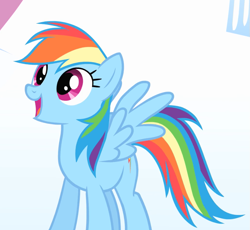 Size: 877x807 | Tagged: safe, screencap, rainbow dash, pegasus, pony, g4, season 1, sonic rainboom (episode), cropped, female, happy, looking up, mare, open mouth, smiling, solo, spread wings, standing, wings