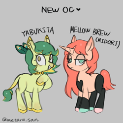 Size: 2560x2560 | Tagged: safe, artist:metaruscarlet, oc, oc only, oc:mellow brew, oc:yabukita, earth pony, pony, unicorn, ear piercing, earring, earth pony oc, gray background, heart, high res, horn, jewelry, looking at you, necklace, peacock feathers, piercing, simple background, unicorn oc