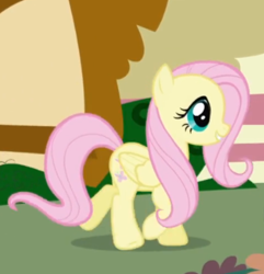 Size: 401x416 | Tagged: safe, screencap, fluttershy, pegasus, pony, friendship is magic, g4, season 1, cropped, female, hooves, mare, smiling, solo, teeth, walking