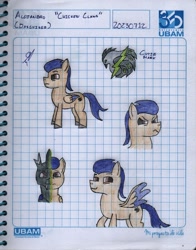 Size: 1964x2511 | Tagged: safe, artist:alejandrogmj, oc, oc:alejandrogmj, oc:chicken claws, changeling, pegasus, pony, changeling oc, cutie mark, disguise, disguised changeling, front view, male, stallion, three quarter view, traditional art