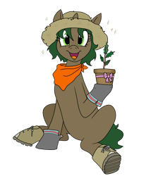 Size: 3600x4200 | Tagged: safe, artist:pony quarantine, oc, oc only, oc:pine shine, pony, unicorn, bandana, boots, bow, female, hat, looking at you, mare, open mouth, open smile, plant, potted plant, present, shoes, simple background, sitting, smiling, smiling at you, solo, straw hat, transparent background