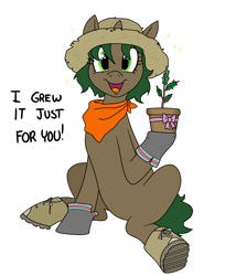 Size: 3600x4200 | Tagged: safe, artist:pony quarantine, oc, oc only, oc:pine shine, pony, unicorn, bandana, boots, bow, female, hat, looking at you, mare, open mouth, open smile, plant, potted plant, present, shoes, simple background, sitting, smiling, smiling at you, solo, straw hat, talking, text, white background