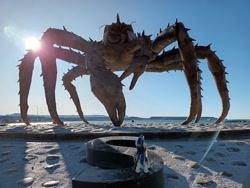 Size: 4000x3000 | Tagged: safe, artist:dingopatagonico, rarity, shining armor, crab, giant crab, pony, unicorn, g4, beach, irl, photo, rarity fighting a giant crab