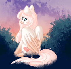 Size: 905x883 | Tagged: safe, artist:aledera, oc, oc:shy heart, pegasus, pony, art fight, coat markings, colored wings, dark muzzle, facial markings, female, freckles, grass, looking at you, looking back, looking back at you, mare, shrub, sitting, sky, smiling, smiling at you, solo, stars, sunset, two toned wings, wings