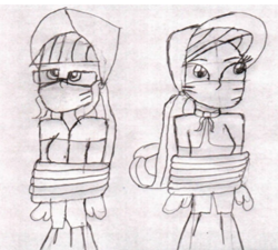 Size: 492x443 | Tagged: safe, alternate version, artist:bluesplendont, rarity, twilight sparkle, human, equestria girls, g4, bonnet, cloth gag, gag, help us, humanized, monochrome, tied up, traditional art, western