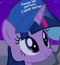 Size: 268x287 | Tagged: safe, edit, edited screencap, editor:djpup3, screencap, twilight sparkle, alicorn, pony, g4, bust, cap, hat, please be patient i have autism, solo, twilight sparkle (alicorn)