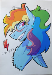 Size: 1920x2747 | Tagged: safe, artist:augustine, artist:irradiatedart, rainbow dash, pegasus, pony, g4, element of loyalty, female, mare, messy hair, simple background, white background