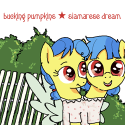 Size: 590x590 | Tagged: safe, artist:kleyime, oc, oc only, oc:eeny meeny, oc:miney moe, earth pony, pony, album, album cover, album parody, bush, clothes, conjoined, conjoined twins, dress, fake wings, female, fence, filly, foal, ms paint, multiple heads, ponified, ponified album cover, siamese dream, siblings, sisters, smashing pumpkins, the smashing pumpkins, twins, two heads