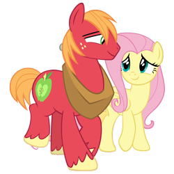 Size: 2250x2250 | Tagged: safe, anonymous artist, big macintosh, fluttershy, earth pony, pegasus, pony, g4, it isn't the mane thing about you, bedroom eyes, duo, duo male and female, female, high res, looking at each other, looking at someone, male, mare, ship:fluttermac, shipping, simple background, smiling, smiling at each other, stallion, straight, transparent background, vector, walking
