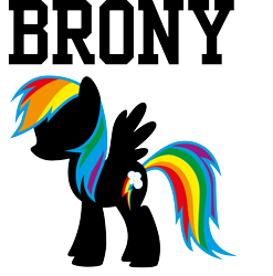 Size: 4104x4160 | Tagged: safe, rainbow dash, pegasus, pony, g4, brony, clothes, costume, craft, shirt, simple background, t-shirt, transparent background, vector