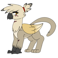 Size: 1800x1800 | Tagged: safe, artist:coatieyay, oc, oc only, oc:dianne von holtzclaw, griffon, griffon oc, scar, simple background, transparent background