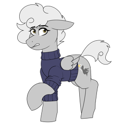 Size: 2150x2150 | Tagged: safe, artist:coatieyay, oc, oc only, oc:silver concord, pegasus, pony, clothes, high res, simple background, sweater, transparent background
