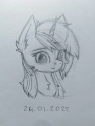 Size: 3120x4160 | Tagged: safe, artist:keupoz, oc, oc only, oc:velvet remedy, pony, unicorn, fallout equestria, bust, cheek fluff, drawing, ear fluff, eye clipping through hair, eyebrows, eyebrows visible through hair, neck fluff, pencil drawing, sketch, solo, traditional art