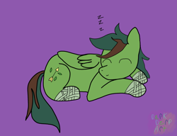 Size: 1837x1408 | Tagged: safe, artist:darkderp, oc, oc only, oc:windy barebow evergreen, pegasus, pony, cute, gift art, lying down, onomatopoeia, purple background, simple background, sleeping, solo, sound effects, zzz