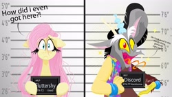 Size: 4096x2309 | Tagged: safe, artist:natalysweeneya1, discord, fluttershy, pegasus, pony, g4, 2023, antlers, barbie, barbie (film), barbie mugshot meme, breaking the fourth wall, clothes, duo, duo male and female, exclamation point, eyelashes, female, handsome, height difference, horn, implied discoshy, implied shipping, implied straight, male, mattel, meme, messy mane, mugshot, question mark, signature, snaggletooth, talking, talking to viewer, text, tired, tongue out