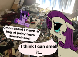Size: 1028x756 | Tagged: safe, artist:ombnom, rarity, twilight sparkle, pony, unicorn, g4, audio in source, duo, female, irl, messy room, photo, ponies in real life, unicorn twilight