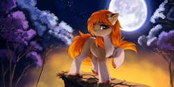 Size: 4740x2370 | Tagged: safe, artist:empress-twilight, oc, oc only, oc:autumn breeze, earth pony, pony, chest fluff, commission, ear fluff, earth pony oc, eyebrows, eyebrows visible through hair, female, full moon, high res, mare, moon, night, night sky, outdoors, pose, raised hoof, sky, solo, stars, tree, unshorn fetlocks, ych result