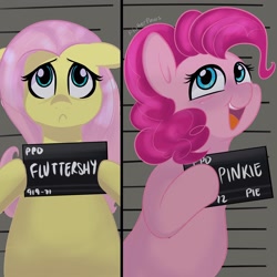Size: 3000x3000 | Tagged: safe, artist:flutterpawss, fluttershy, pinkie pie, earth pony, pegasus, pony, g4, barbie, barbie (film), barbie mugshot meme, cute, diapinkes, duo, female, floppy ears, frown, high res, hoof hold, mare, meme, mugshot, open mouth, open smile, shyabetes, smiling