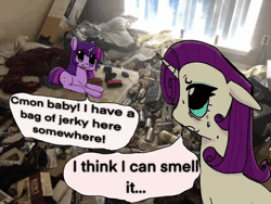 Size: 640x480 | Tagged: safe, ai assisted, ai content, artist:ombnom, fifteen.ai, rarity, twilight sparkle, pony, unicorn, g4, ai voice, animated, duo, ears back, female, floppy ears, irl, messy room, photo, ponies in real life, sound, unicorn twilight, webm