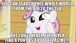 Size: 1920x1080 | Tagged: safe, edit, edited screencap, screencap, sweetie belle, pony, unicorn, bloom & gloom, g4, best pony, caption, clubhouse, crusaders clubhouse, cute, diasweetes, image macro, solo, squishy cheeks, sweetie belle is a marshmallow too, text, truth