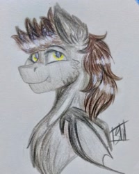 Size: 1243x1554 | Tagged: safe, artist:shamy-crist, oc, oc:devin, bat pony, pony, bat pony oc, brown mane, bust, cute, looking at you, male, sketch, smiling, solo, stallion, traditional art