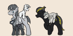 Size: 2118x1040 | Tagged: safe, artist:ahorseofcourse, oc, oc only, oc:silver rain, oc:silver sword, oc:spectral streak, oc:storm warning, oc:white light, pegasus, pony, unicorn, colt, cute, family, father and child, father and daughter, father and son, female, filly, foal, male, mare, mother and child, mother and daughter, mother and son, ponies riding ponies, riding, siblings, simple background, stallion