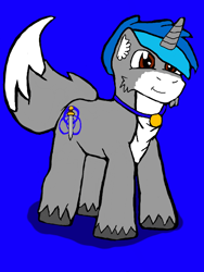 Size: 512x680 | Tagged: safe, artist:cavewolfphil, oc, pony, unicorn, wolf, wolf pony, blue background, jewelry, male, necklace, simple background, stallion