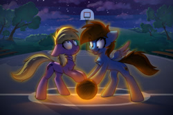 Size: 1920x1280 | Tagged: safe, artist:o0o-bittersweet-o0o, oc, oc:sky game, earth pony, pegasus, pony, basketball, cloud, commission, duo, female, glowing, looking at something, looking up, looney tunes, male, night, smiling, smirk, space jam, sports, spread wings, standing, stars, tree, twisted neck, wide eyes, wings
