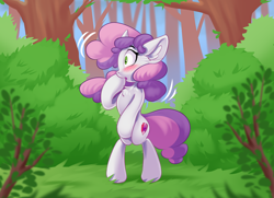 Size: 2048x1482 | Tagged: safe, artist:kittytitikitty, sweetie belle, pony, unicorn, g4, bipedal, blushing, chest fluff, covering, ear fluff, embarrassed, embarrassed nude exposure, female, forest, nudity, scenery, solo, we don't normally wear clothes