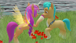 Size: 1920x1080 | Tagged: safe, artist:thisguy, hitch trailblazer, sunny starscout, alicorn, earth pony, pony, g5, 3d, alicornified, boop, duo, duo male and female, female, flower, grass, grass field, looking at each other, looking at someone, male, mane stripe sunny, mare, noseboop, race swap, sheriff's badge, ship:starblazer, shipping, smiling, stallion, straight, sunnycorn, water