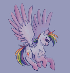 Size: 597x614 | Tagged: safe, artist:zeraphiimm, rainbow dash, pegasus, pony, g4, chest fluff, flying, simple background, solo, spread wings, wings