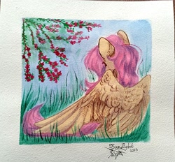 Size: 3304x3072 | Tagged: safe, artist:jsunlight, fluttershy, pegasus, pony, g4, female, grass, high res, mare, outdoors, partially open wings, passepartout, rear view, sitting, solo, traditional art, tree branch, watercolor painting, wings