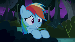 Size: 1280x720 | Tagged: safe, screencap, rainbow dash, pegasus, pony, daring don't, g4, forest, night, solo, sweat, worried